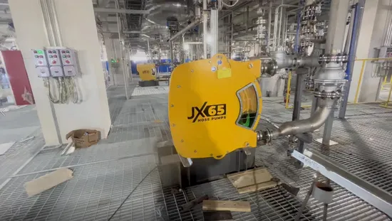 Jx50 Peristaltic Hose Pump for Different Application with Good Italy Hose